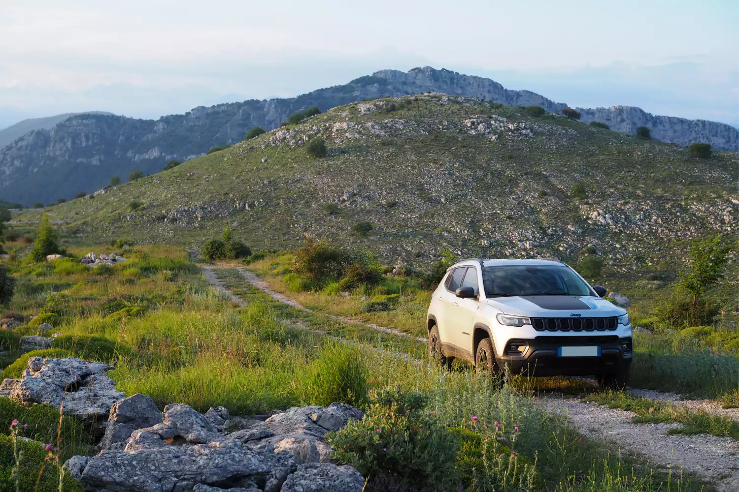 car garbage can for Jeep Compass