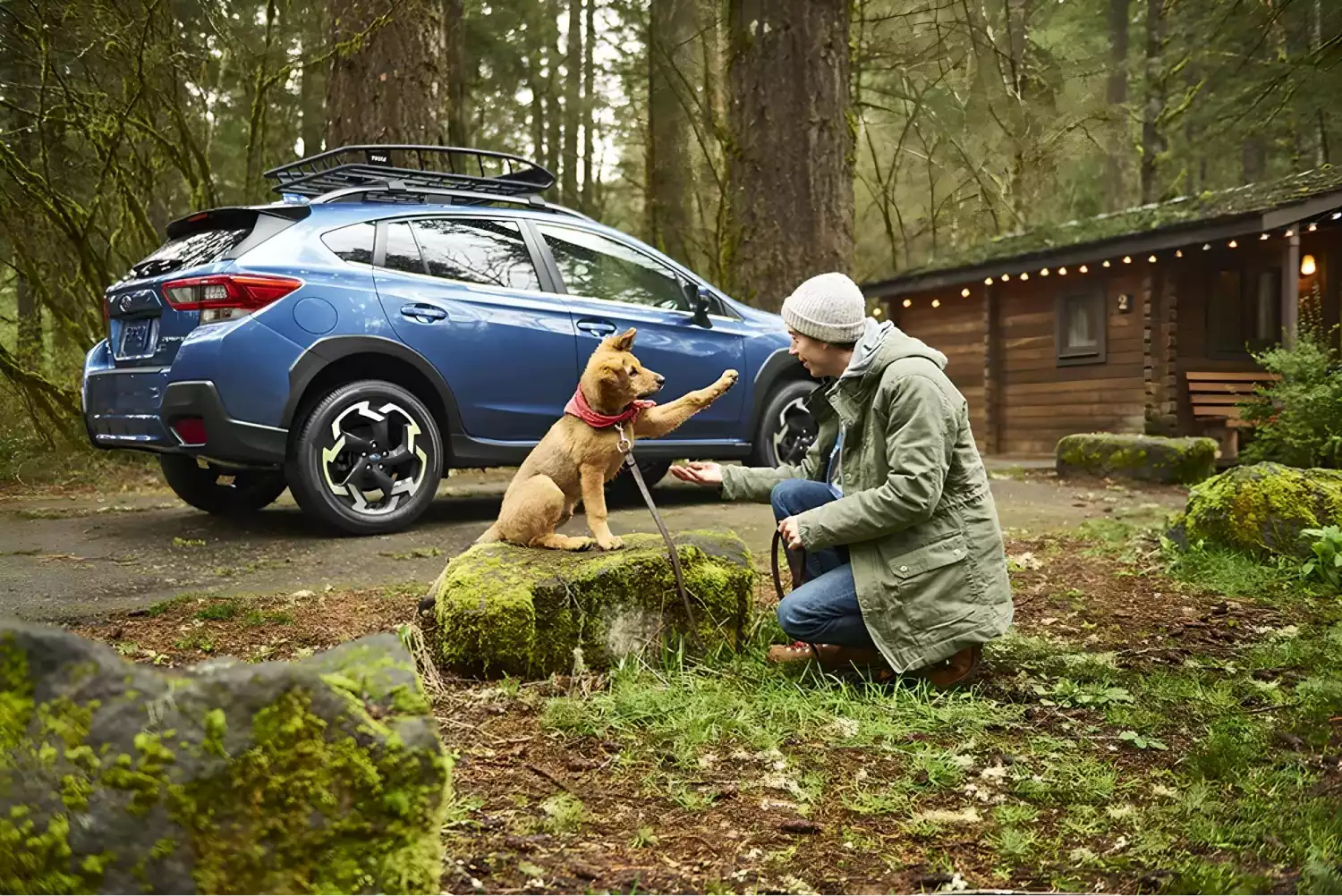 trash bin for Subaru Outback