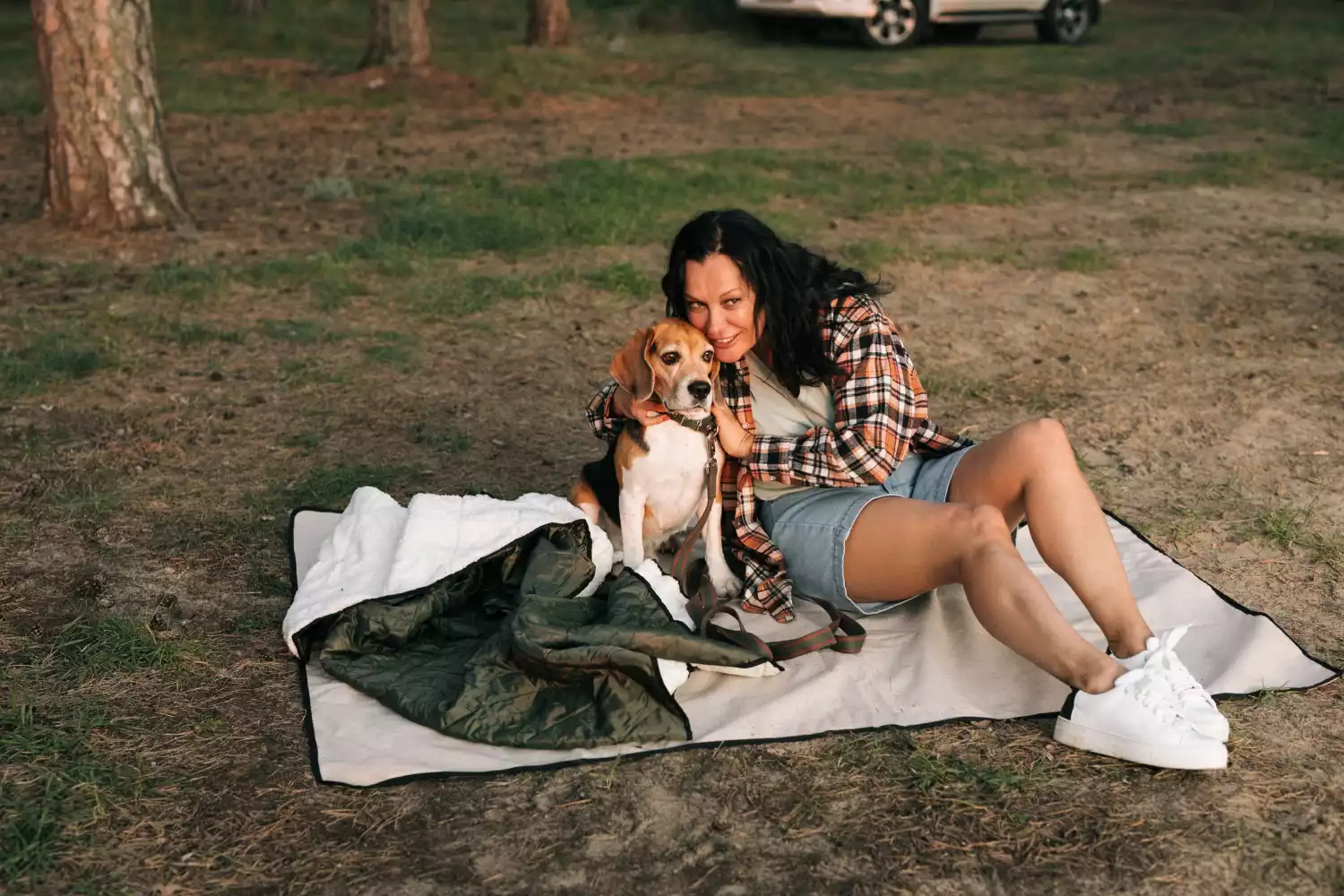 deluxe picnic blanket