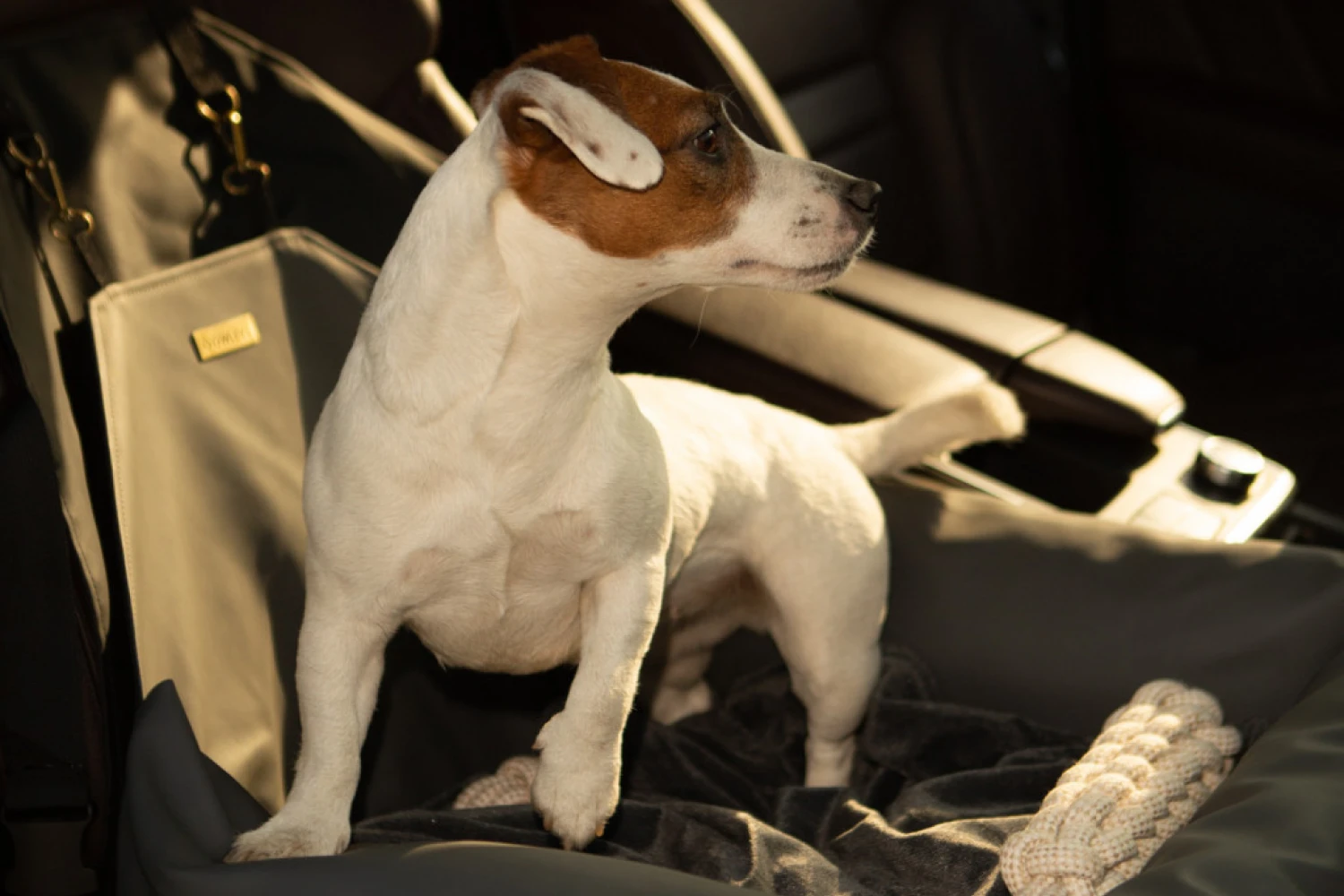 Australian Terriers Dog Car Seat for Subaru Ascent