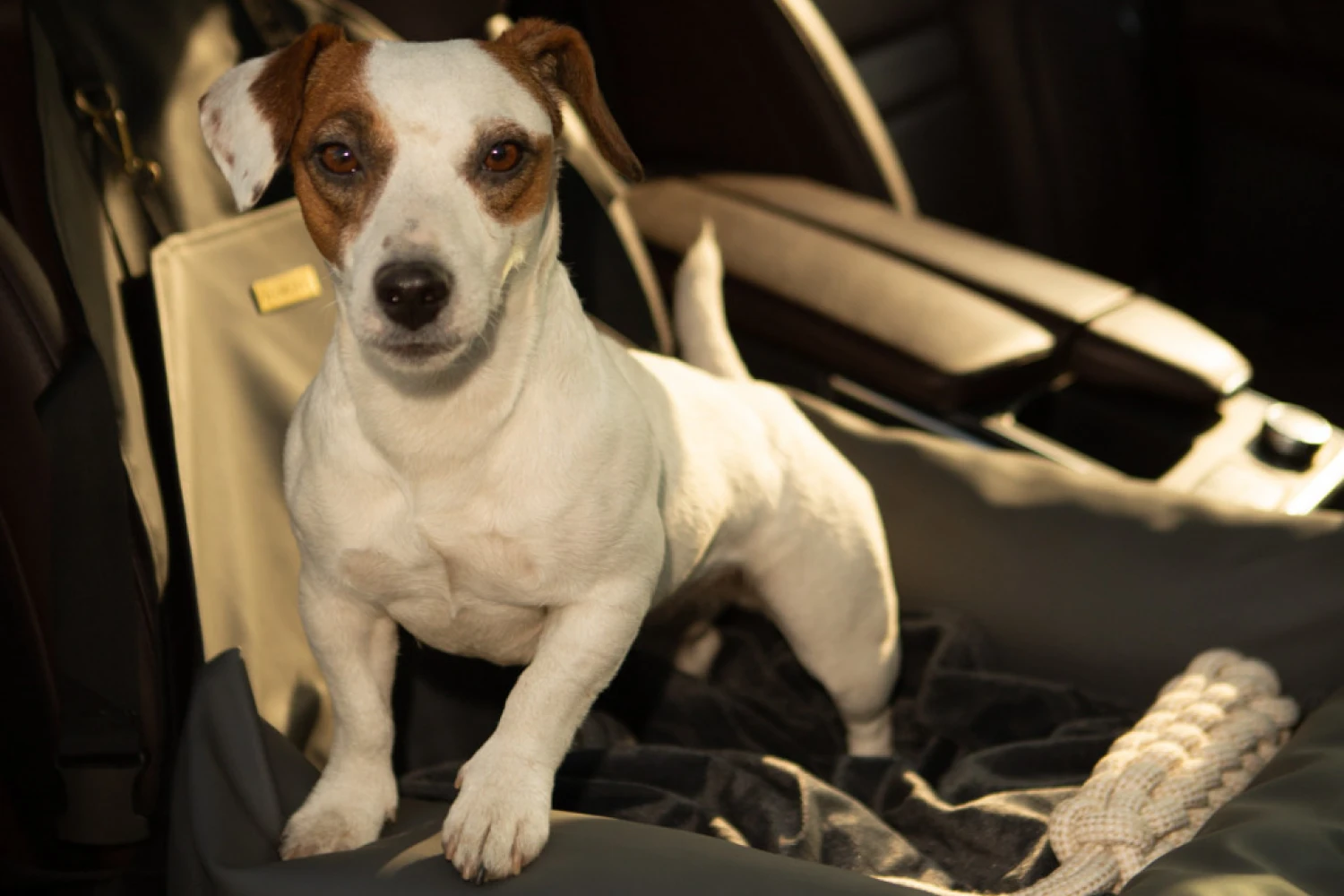 Australian Terriers Dog Car Seat for Subaru Ascent