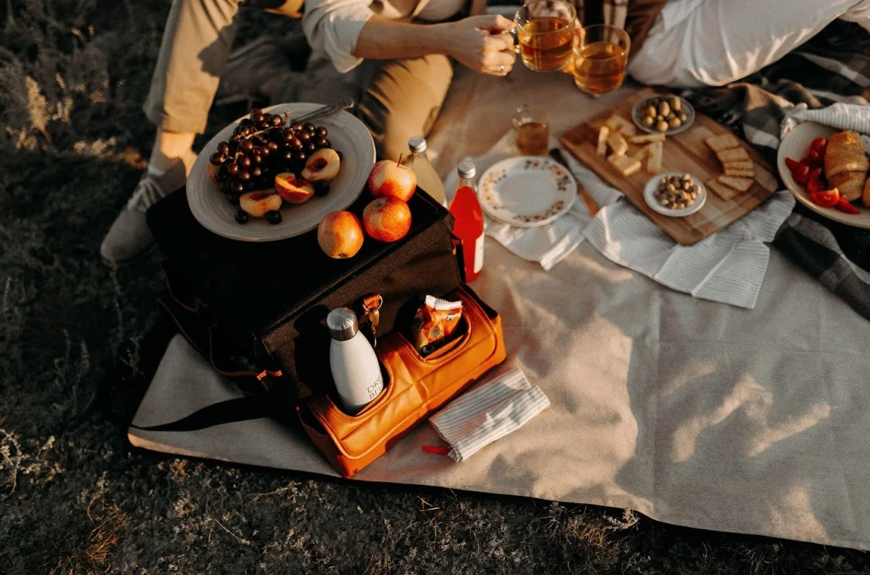 auto travel mat picnic blanket